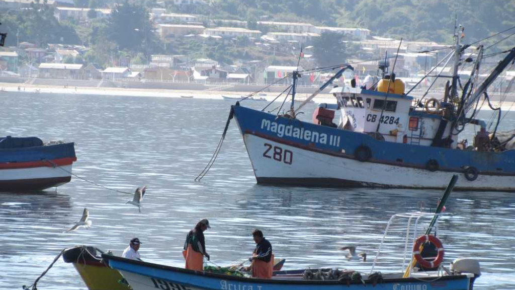 Desembarque pesquero de Biobío disminuyó 27 2 en doce meses La Tribuna