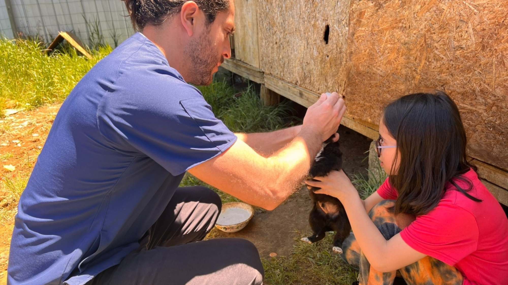 Esterilizan gratuitamente a más de 100 mascotas en Lebu La Tribuna