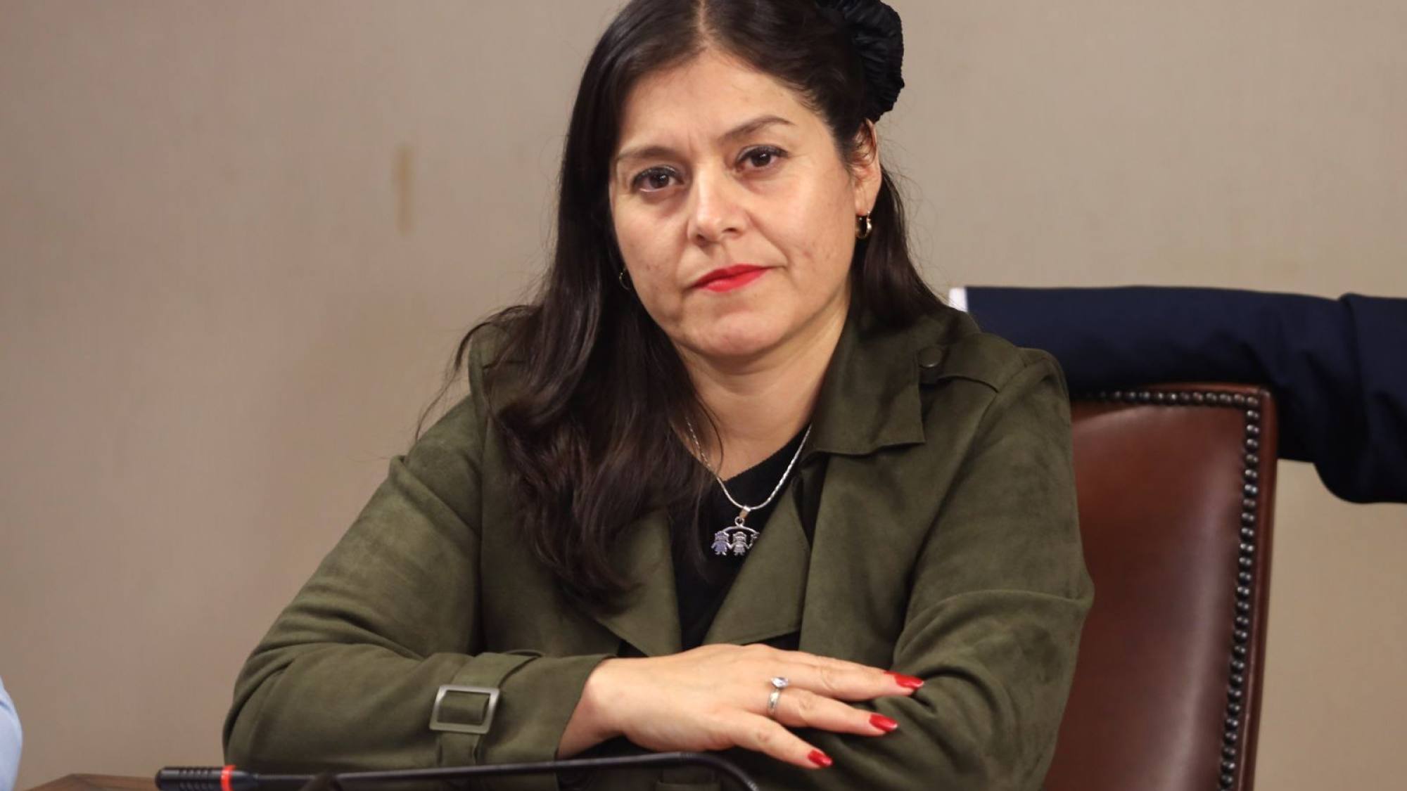 Diputada Karen Medina Valora Aprobaci N De La Ley Que Regula Los