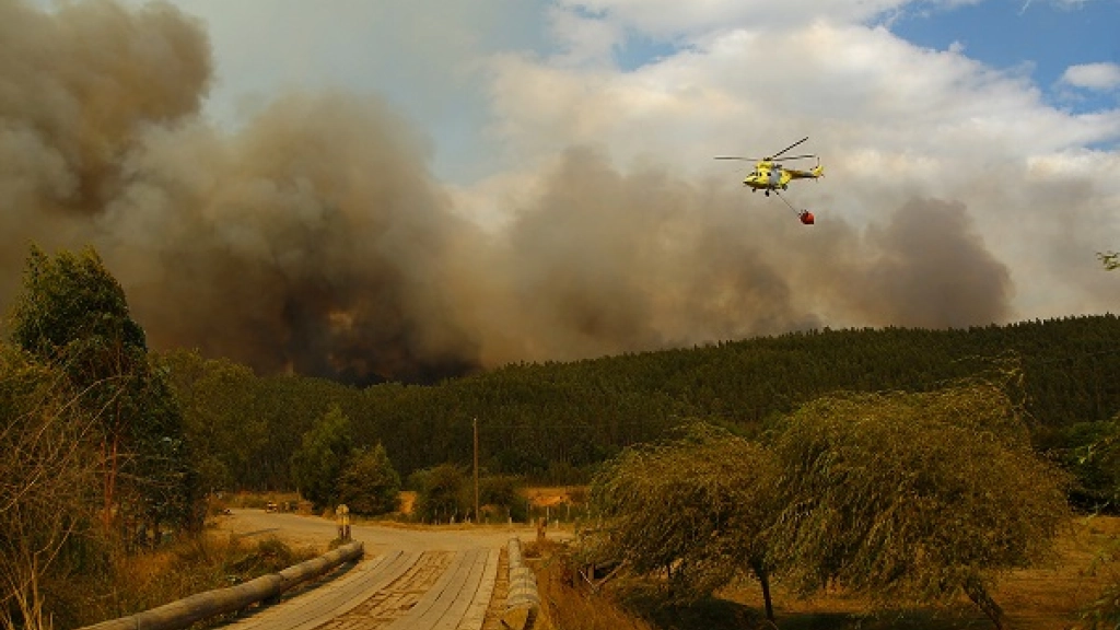 150210_Gobierno-del-Biobío-extrema-medidas-para-evitar-daños-en-viviendas-por-incendio-forestal-en-Laraquete3, 