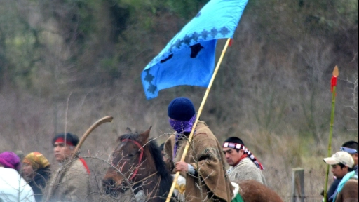 Mapuches toman fundo al sur de Mulchén