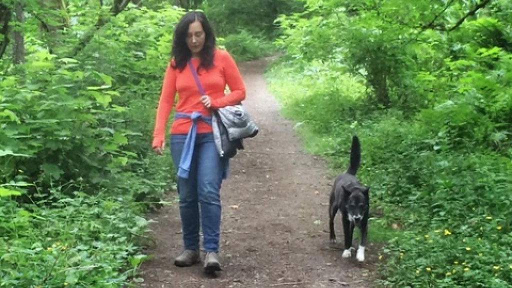 24-09-2015_16-18-571-245, 