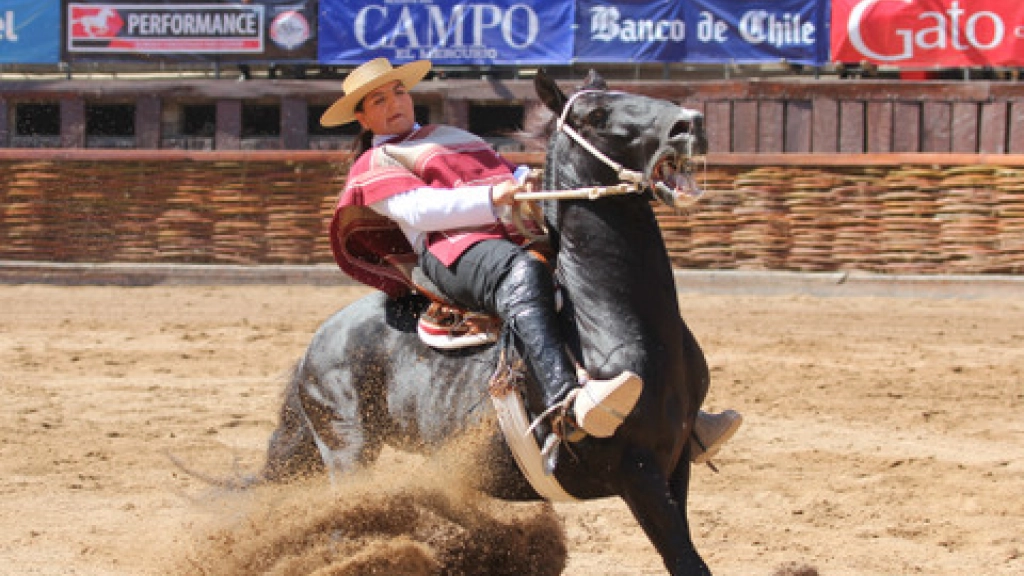 12-10-2015_21-03-291-202, 