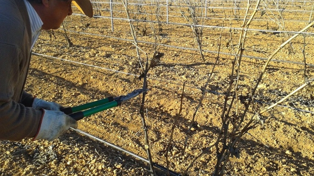 14-10-2015_15-59-048.1, 