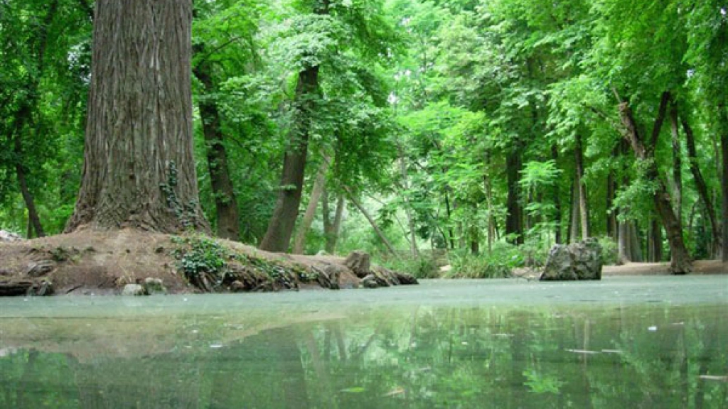 14-10-2015_16-06-226.1, 