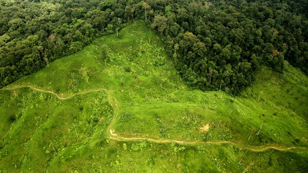 28-10-2015_17-45-17portada, 