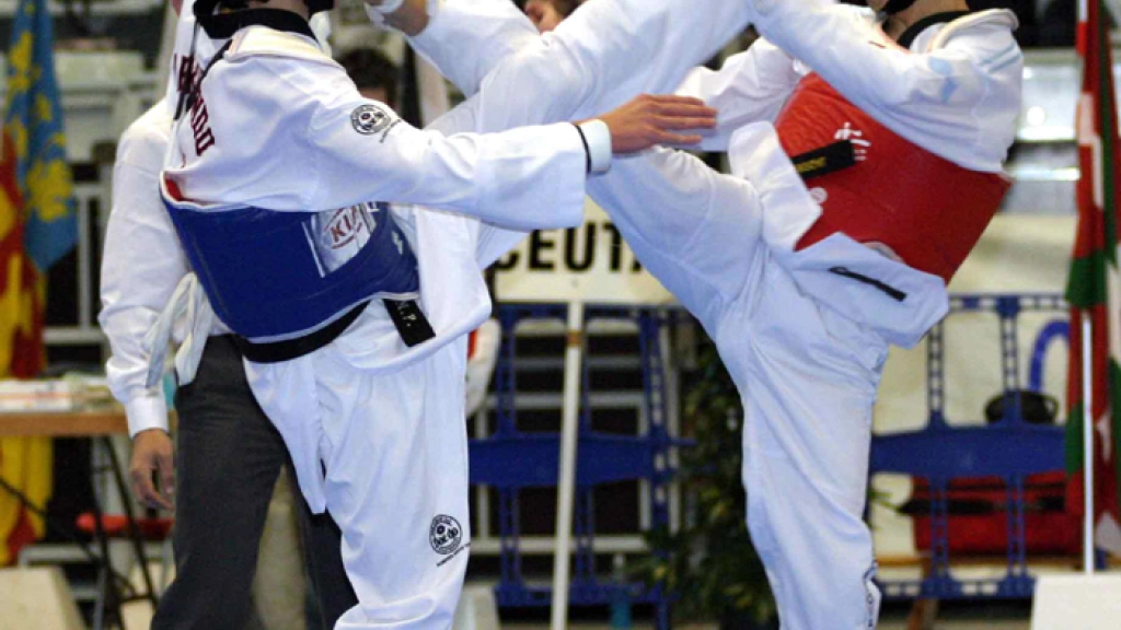 01-11-2015_20-04-23taekwondo, 