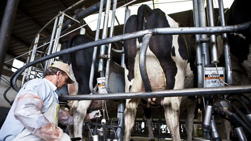 Darío Arévalo: "La producción de leche se ha ido desintegrando"