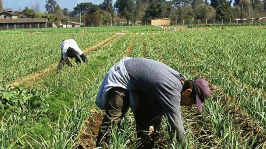 04-09-2015_15-04-24Agricultores-de-Chile-Minagri-680x365_c, 