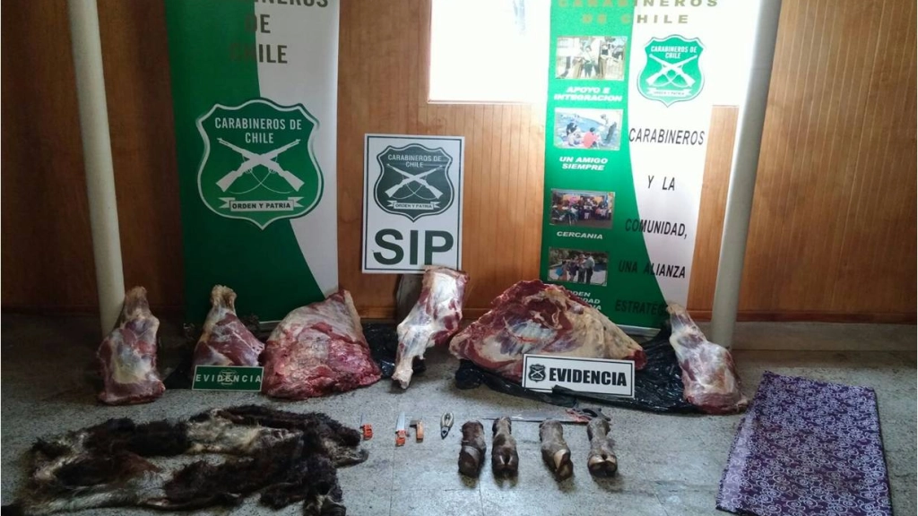 10-09-2015_20-47-447110-09-15, 