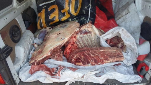 Incautan más de 200 kilos de carne en Bío Bío