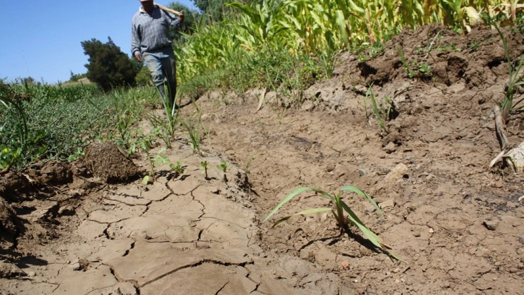 20-09-2015_19-36-138.2Agricultura-sequia, 