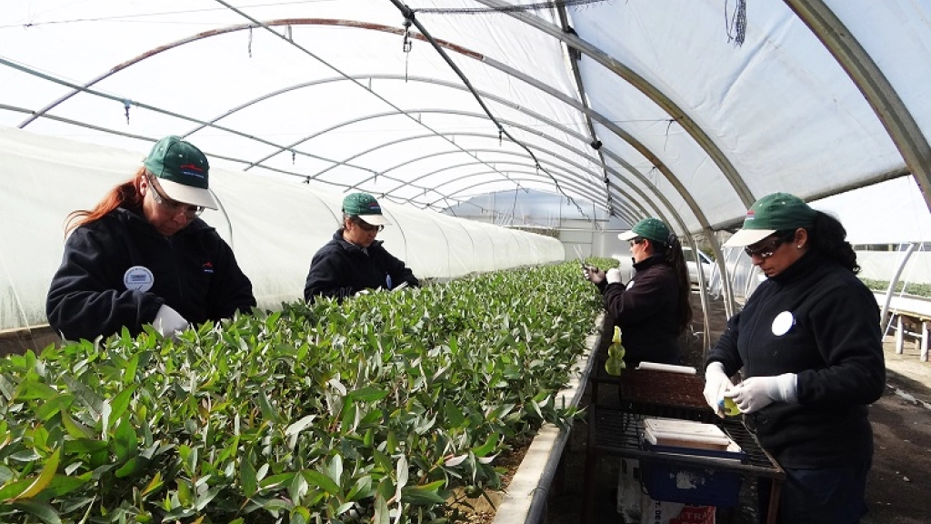 23-09-2015_16-04-044.1, 