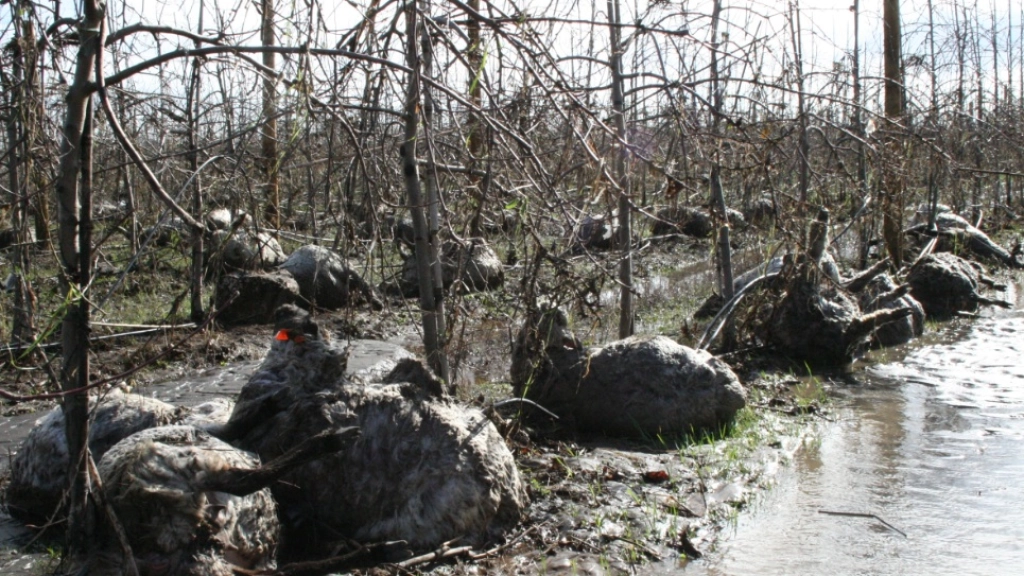 23-06-2015_18-29-20555, 