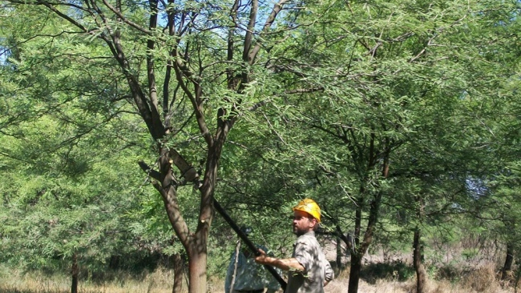 17-07-2015_09-10-243, 