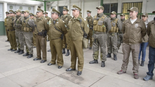 Con 224 detenciones finalizó ronda masiva en la provincia del Biobío
