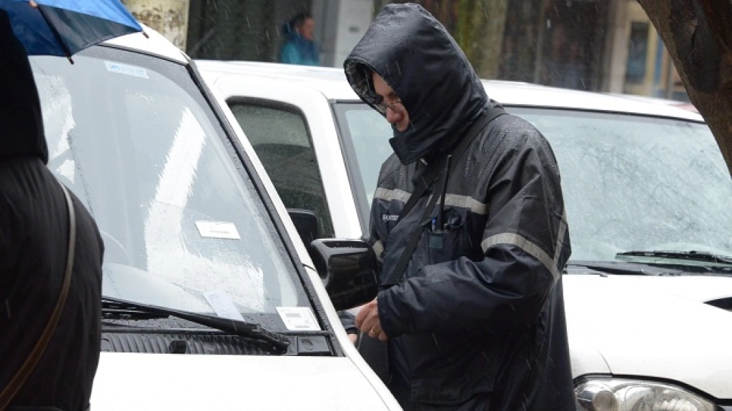 05-08-2015_17-41-56parqui, 