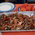 26-08-2018_17-58-351__10.2decontexto, 