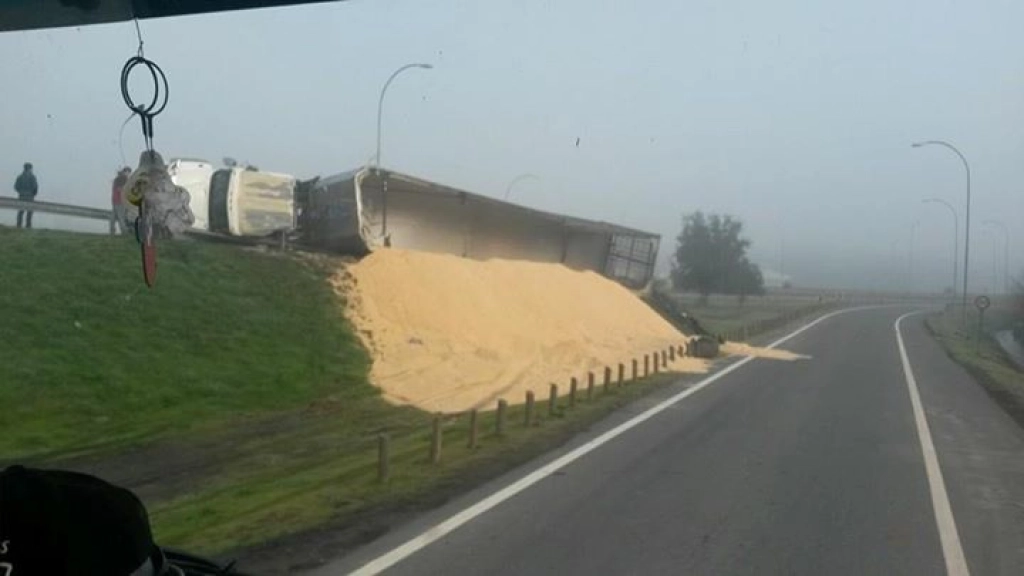 20-08-2015_10-13-55@biobioinforma1, 