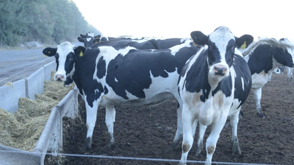 08-03-2018_19-15-141__9.2, 