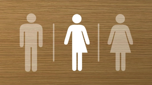 Tres escuelas básicas de Antuco liberan uso de uniforme y baños a estudiantes transgénero