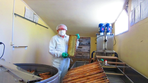 La miel de Santa Bárbara: Un producto que promueve, el trabajo y reconocimiento a nivel internacional
