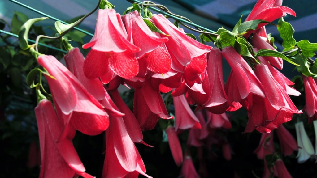 02-04-2018_21-55-321___dsc3344, 