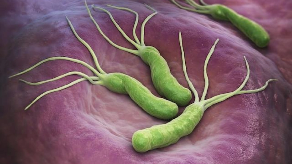 28-05-2018_22-09-461__11.2, 