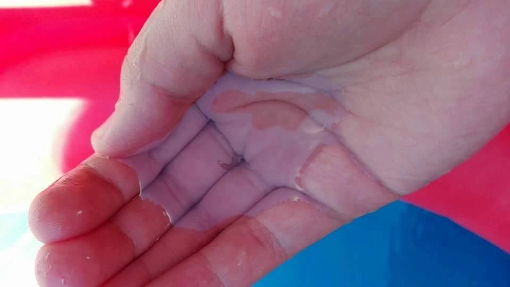 02-02-2016_15-15-0912631438_1553177531662288_1156631779703846992_n, 