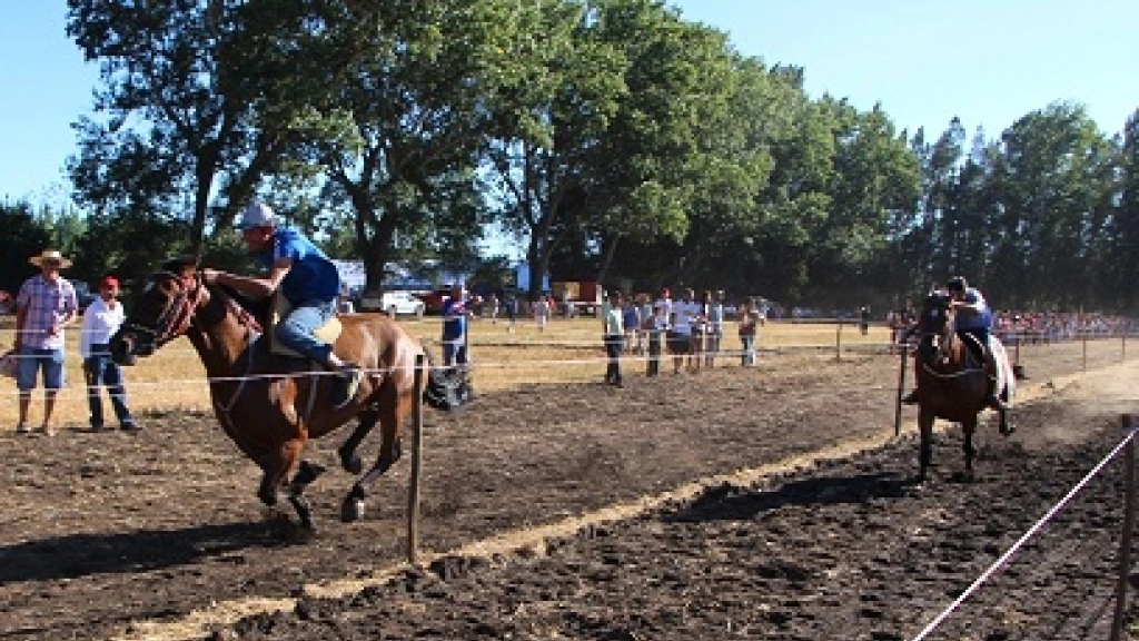 19-02-2016_18-52-17cabrerochillancito2016fiestadelconejo1, 