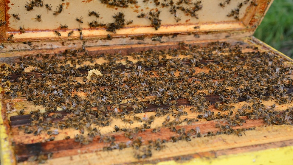 24-02-2016_17-40-034.1, 