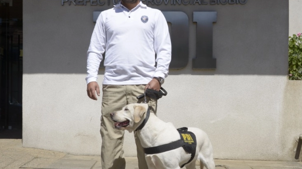 08-12-2015_19-15-54perrijpg, 