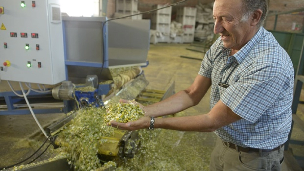 16-12-2015_16-27-25Portada, 