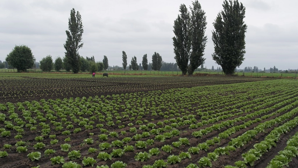 30-12-2015_15-52-144.1, 