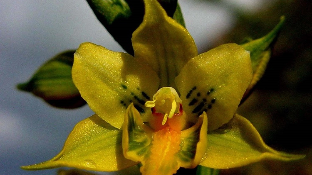 30-12-2015_15-48-446.1, 