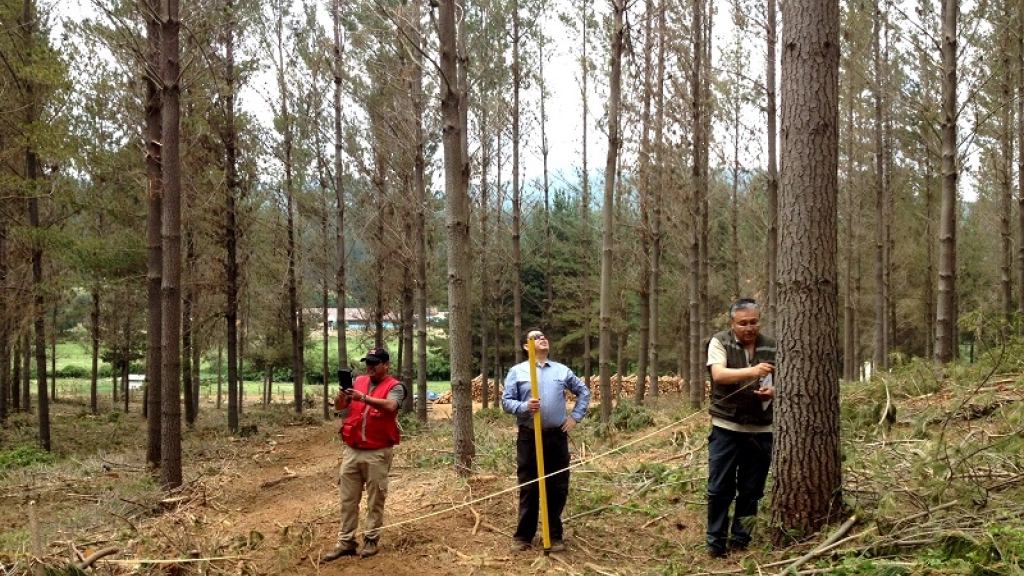 30-12-2015_15-30-482.1, 