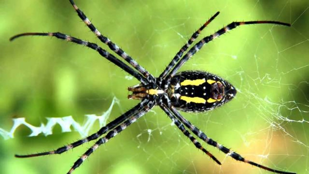 06-01-2016_19-05-081-339, 