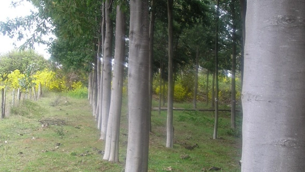 13-01-2016_18-07-212.1, 