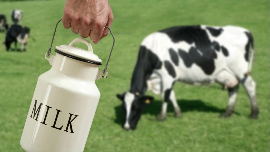 13-01-2016_16-51-471.2, 