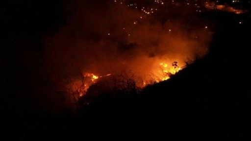 Último Minuto: Onemi declara alerta roja por incendio forestal en Mulchén