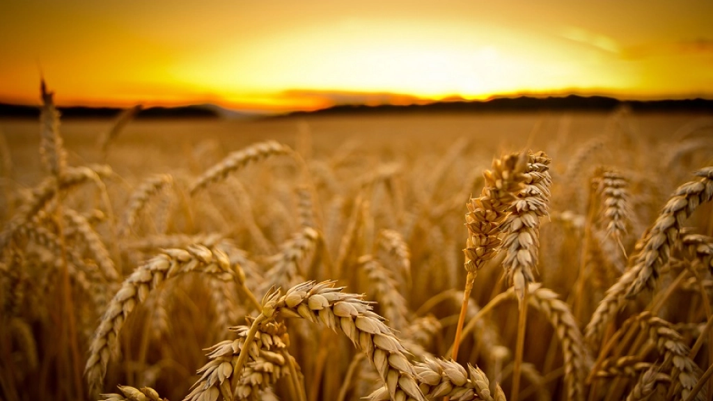 02-03-2016_15-37-246.2, 