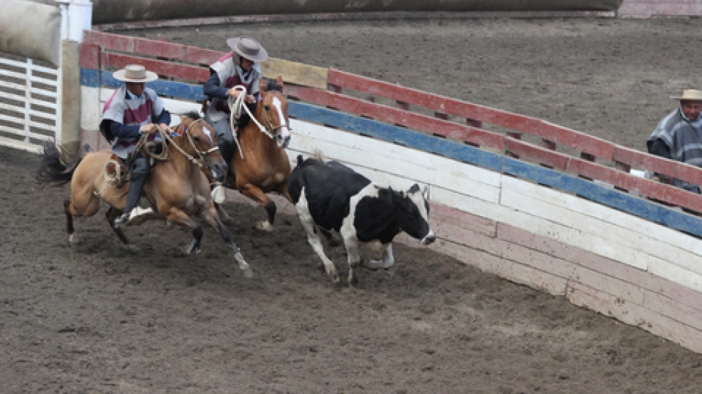 09-03-2016_18-02-171-421, 