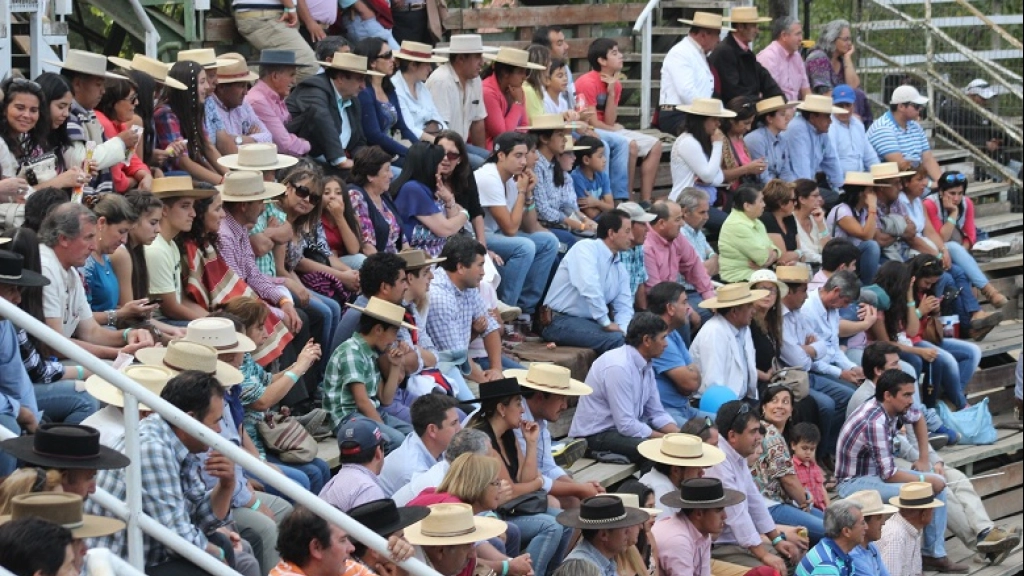 10-03-2016_19-21-16IMG_5301, 