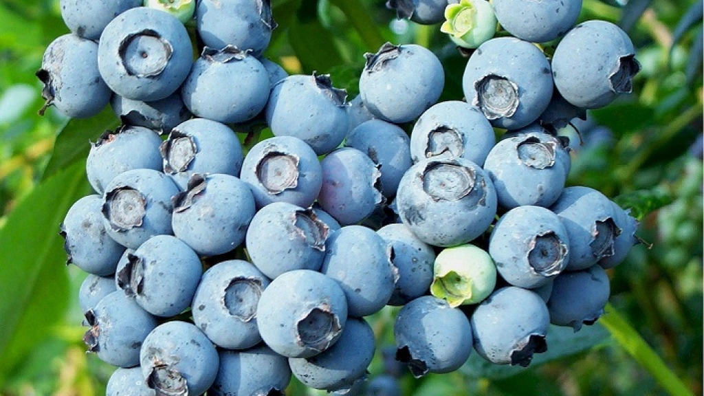 16-03-2016_22-52-524.2, 