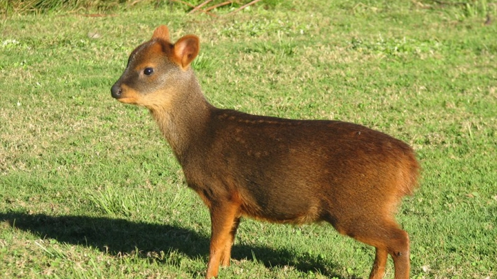 16-03-2016_22-41-50pudu2dga, 