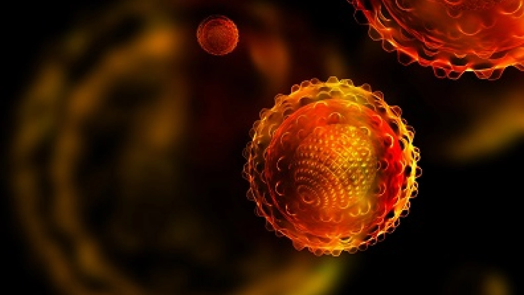 21-03-2016_19-27-547.1, 