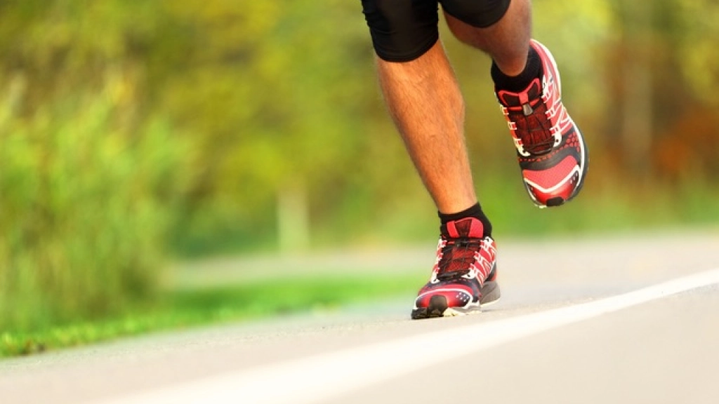 09-08-2016_14-51-281-130515-trote, 