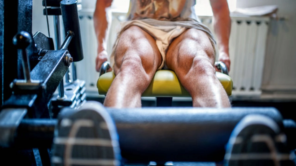 23-08-2016_16-28-131-mejores-ejercicios-cuadriceps, 