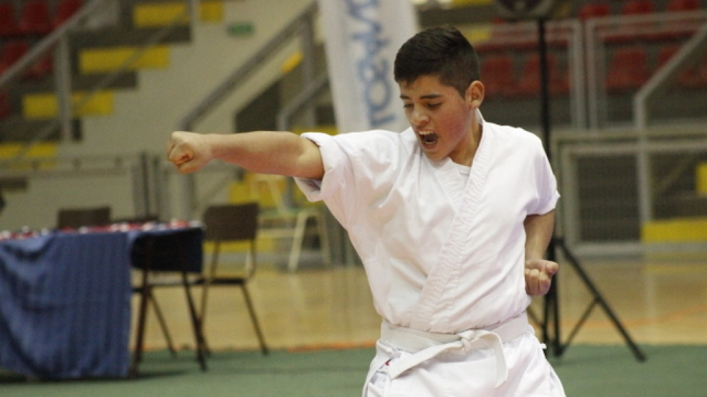 19-08-2016_18-28-43Karate20-1, 