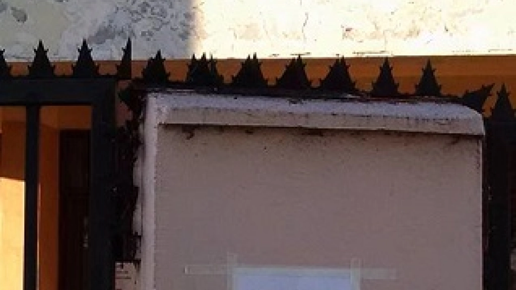 25-06-2016_17-45-0013466505_1656822244642672_2042903114567424781_n-2, 